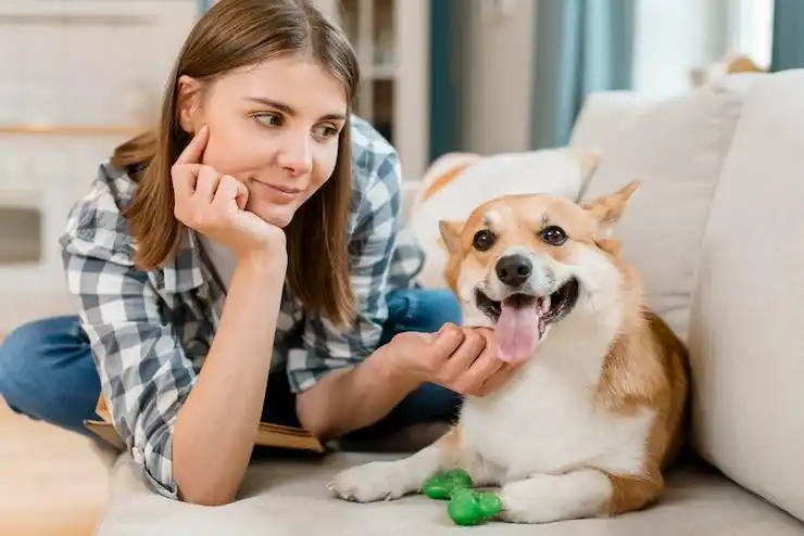 dental care for dogs at home
